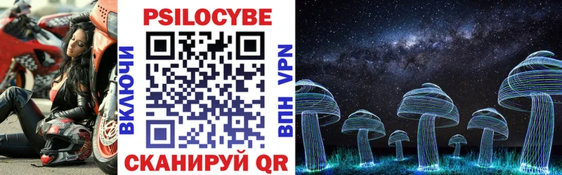 Галлюциногенные грибы Psilocybine cubensis  Вольск 
